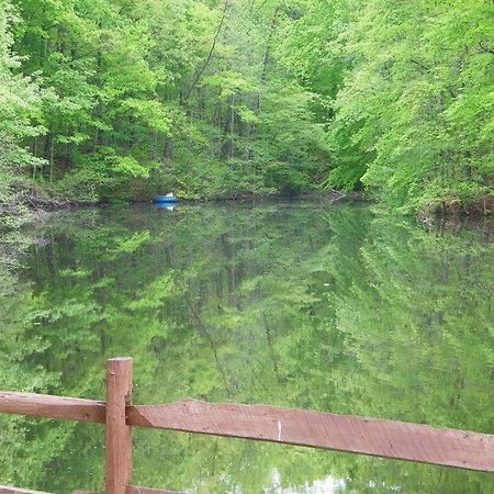 Lake Myers Lakeside Villa 16 Mocksville Dış mekan fotoğraf
