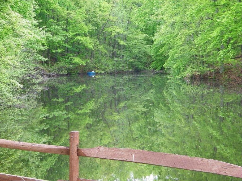 Lake Myers Lakeside Villa 16 Mocksville Dış mekan fotoğraf